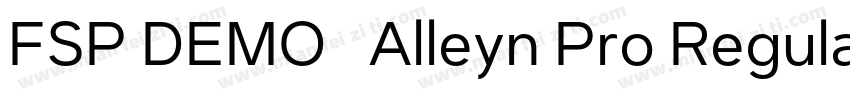FSP DEMO   Alleyn Pro Regular字体转换